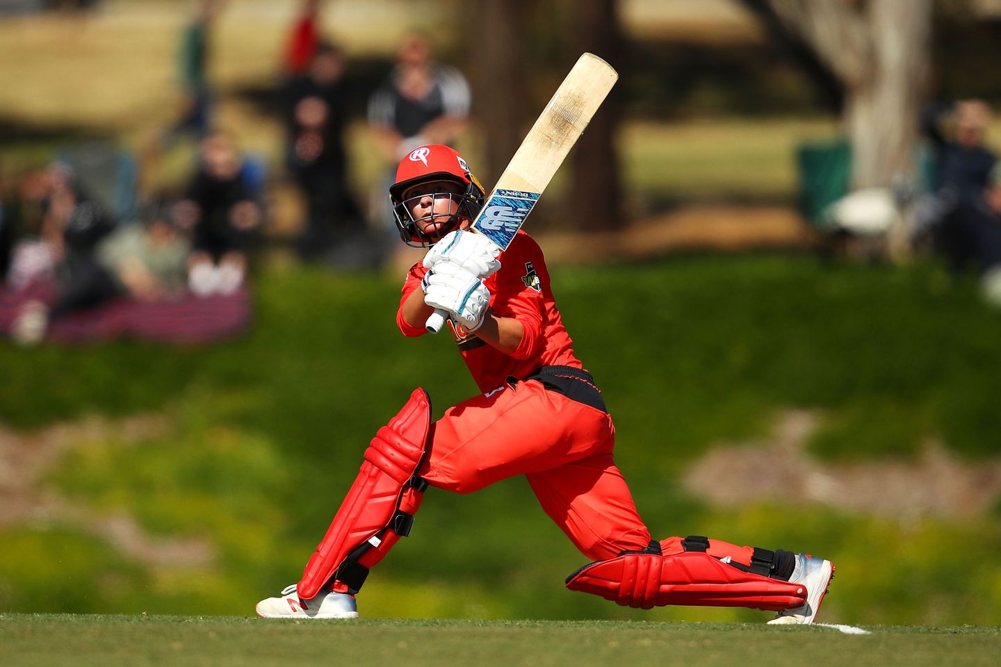 Danni Wyatt on the attack for Melbourne Renegades