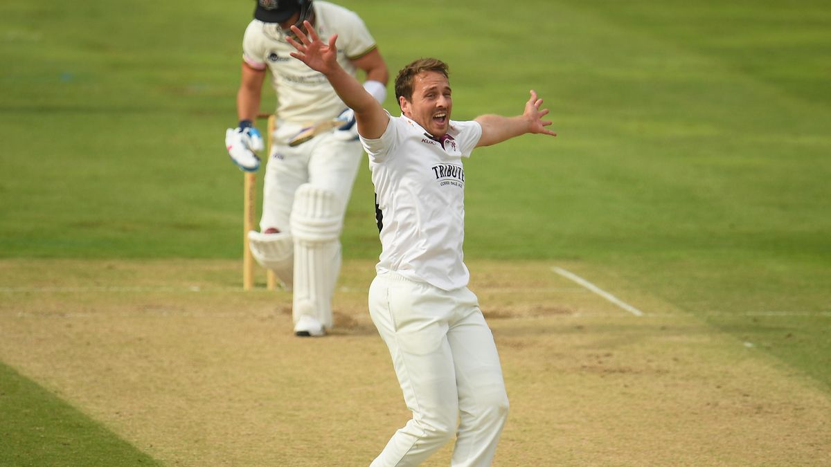 Josh Davey appeals for Somerset