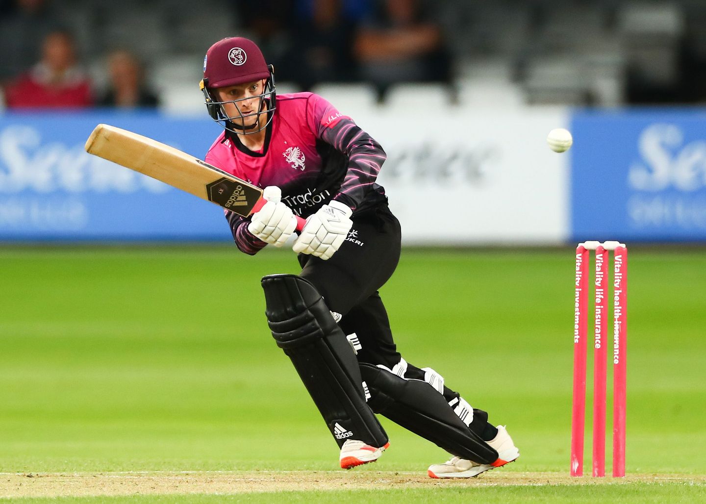 Lewis Goldsworthy in Vitality Blast action for Somerset