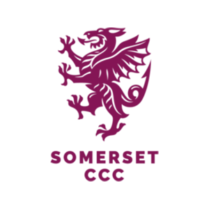 Somerset team mark
