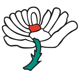 Yorkshire team mark